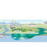 Nutrient inputs for HABs and algal toxins