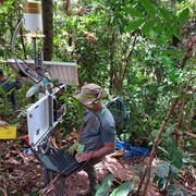 person on a laptop in front of instrument in densely vegetated area