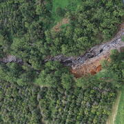 Color photograph of flood-scoured gulch surrounded by greenery