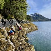 Two scientists examine a rocky shoreline covered in yellow algae and seaweed.