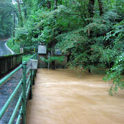 September 2009 Flooding Nancy Creek at West Wesley Rd., Atlanta (02336410)