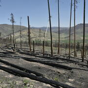 Photograph of one of the East Troublesome wildfire burn scar areas taken during a UAS mission in Colorado