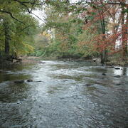 French Creek near Phoenixville, PA, river in the foreground and trees with green, yellow, and red leaves in the background. 