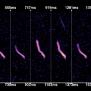 Purple lines on a graph of milliseconds versus hertz with title "NABat Spectrogram Viewer" and scale and color at the top