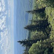 Spruce Knob, the highest point in West Virginia