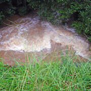 September 2009 Flooding Wheeler Creek at Bill Cheek Rd, near Auburn (02217274)