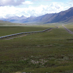 Image: Alaskan Pipeline
