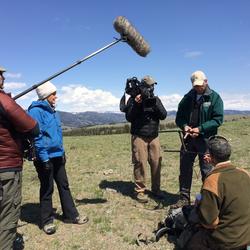 USGS scientists Frank van Manen being interviewed by NBC Nightly News in Yellowstone.