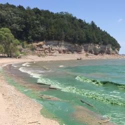 Harmful algal blooms turn water in Milford Lake emerald green