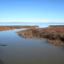 A narrow waterway, in a wet, marshy area with brown grasses, winds its way to a larger body of water, hills in the background.
