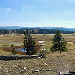 Panoramic view of Pocket Basin, Yellowstone National Park