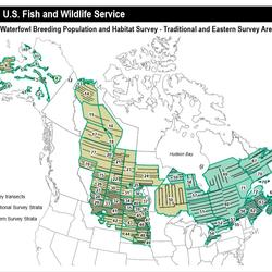 Waterfowl Breeding Population and Habitat Survey - Traditional and Eastern Survey Areas