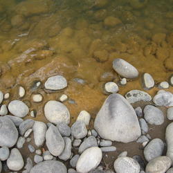 Sediment sample close up.