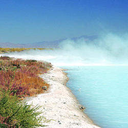Cloud and dust over geothermal waters in Dixie Valley, Nevada