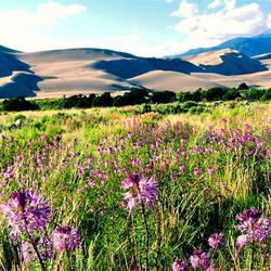 wide analysis thesis Great Sand Dunes National Park