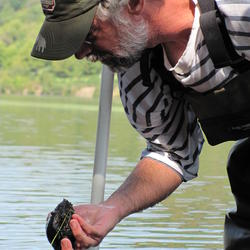 USGS Scientist Robert Kennedy examining freshwater mussel.