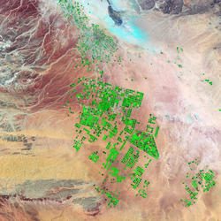 Landsat 7 image form 2000 showing center pivot irrigation, as green circles, in the desert of Saudi Arabia.