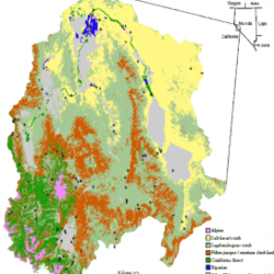 Location of Walker River Basin (17) and its eight major vegetation types, as well as developed areas. 