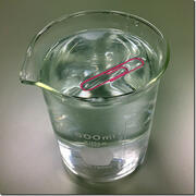 A paper clip floating on water, due to surface tension.