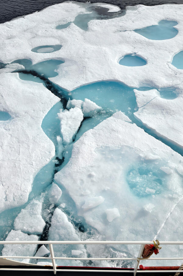 Image: Multi-year ice