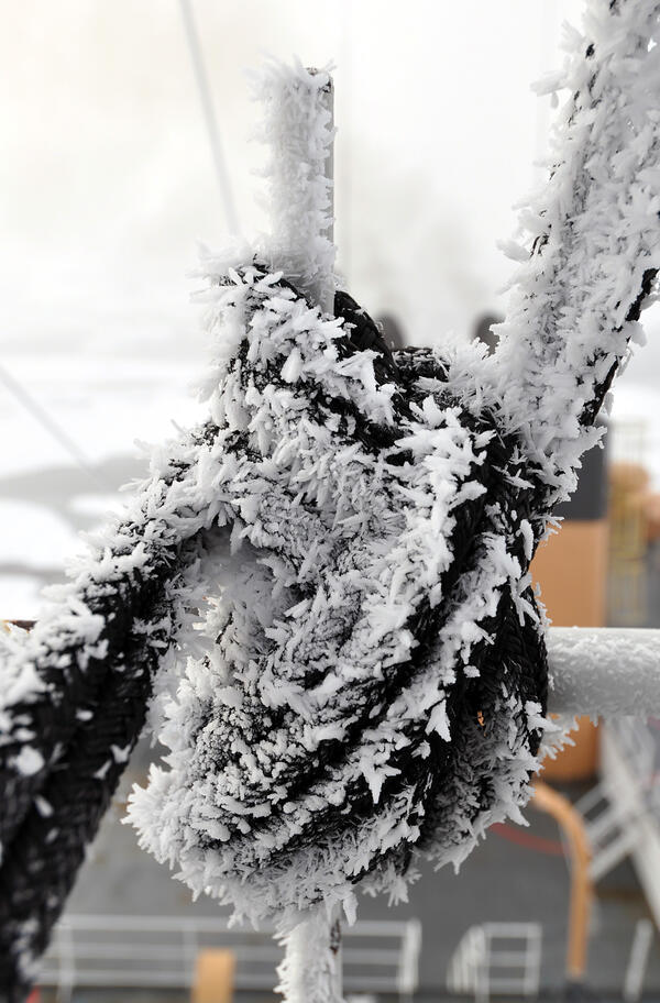 Image: Frozen Rope