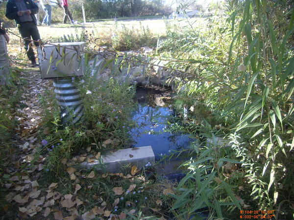 Drain at Rattlesnake Spring