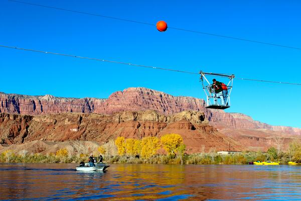 Image: Suspended Scientists