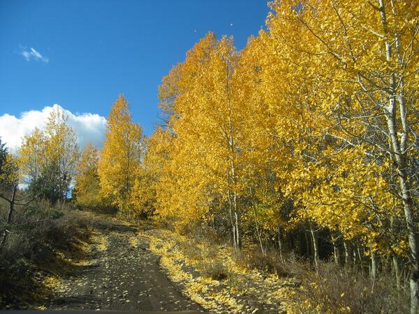 Image: Reynolds Creek Experimental Watershed
