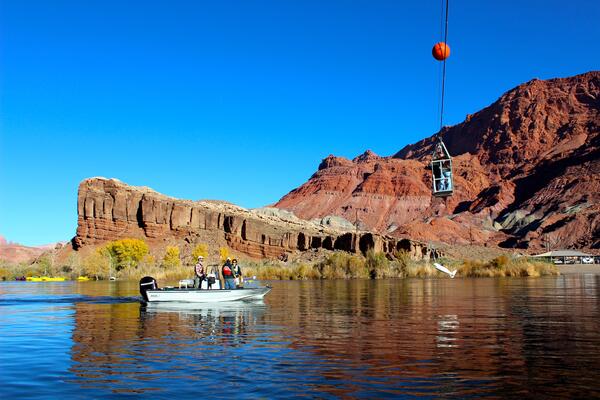 Image: Suspended Scientists
