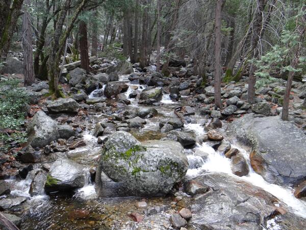 Image: Bridalveil Creek