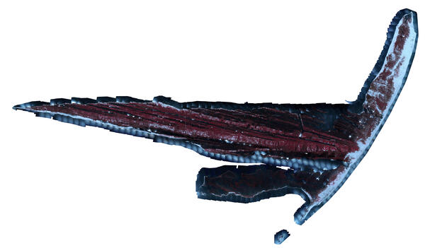 Image: CIR imagery of Cat Island collected in 2007