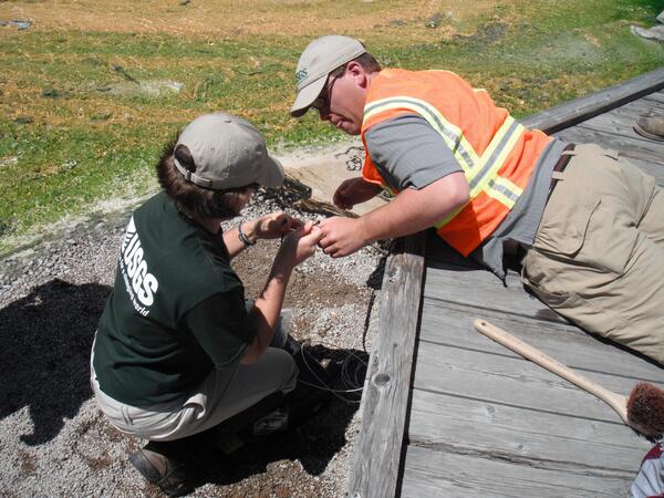 Image: USGS Scientists Installing Temperature Sensor