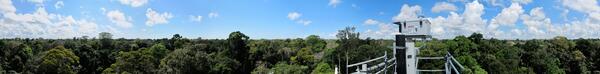 Image: Panorama from the top of Amazon Observation Tower