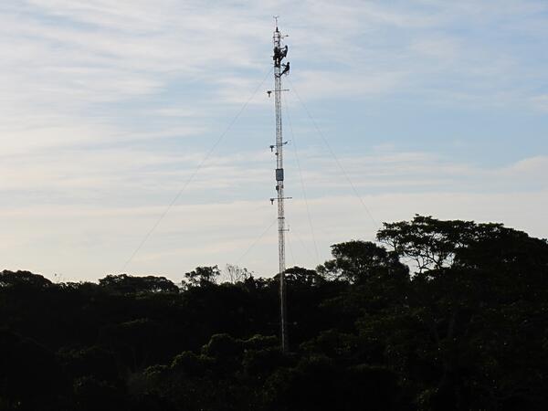 Image: Scientists Install Remote Sensing Instrument Near Top of Amazon Observation Tower