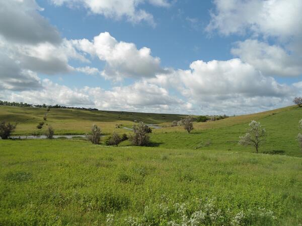 Image: Baldhill Creek