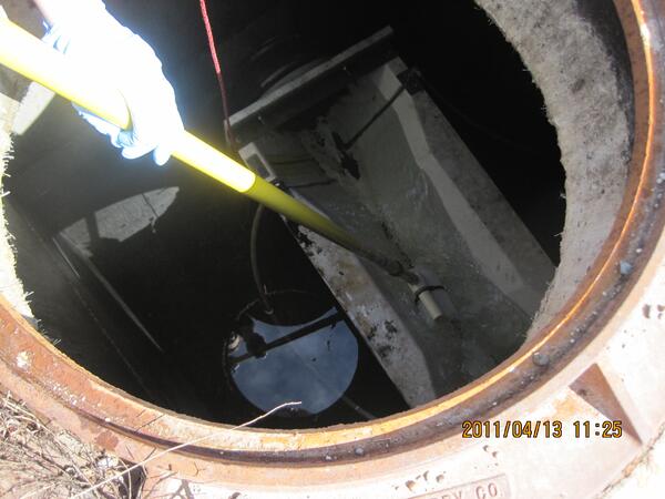 Image: Collecting Samples