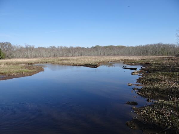 Image: Mouth of Accokeek Creek