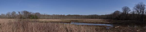 Image: Accokeek Creek Panorama