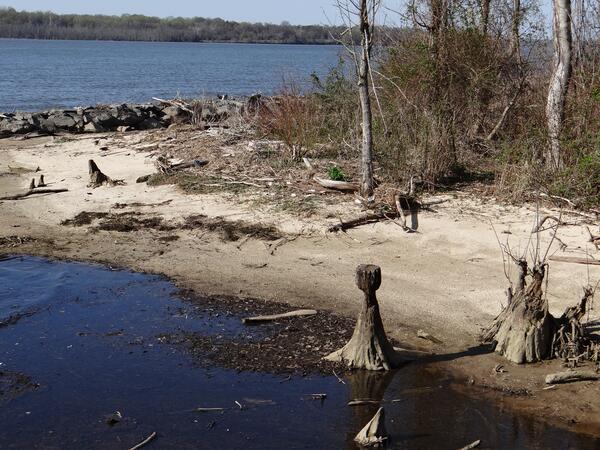 Image: River and Creek