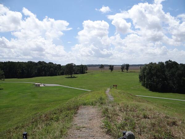Image: Crest of Mound A Looking South