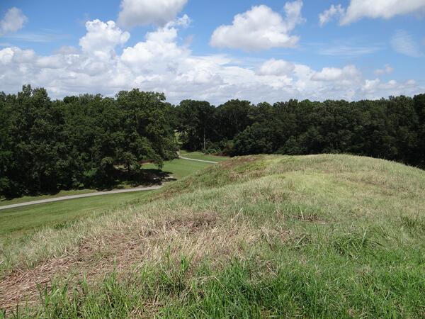 Image: Crest of Mound A Looking North