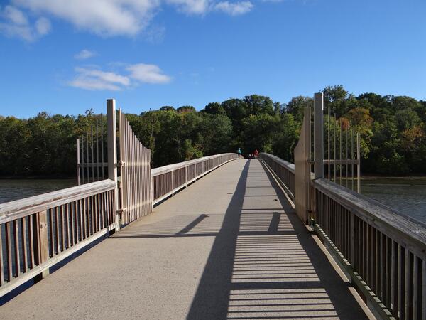 Image: Footbridge to the Theodore Roosevelt Island