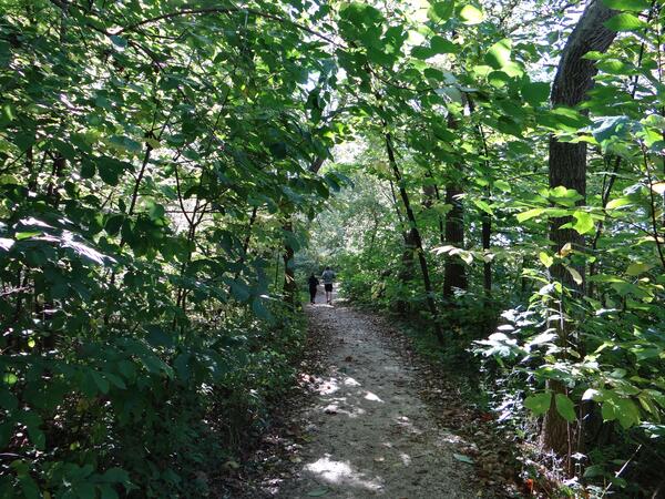 Image: Hiking Trails on Theodore Roosevelt Island