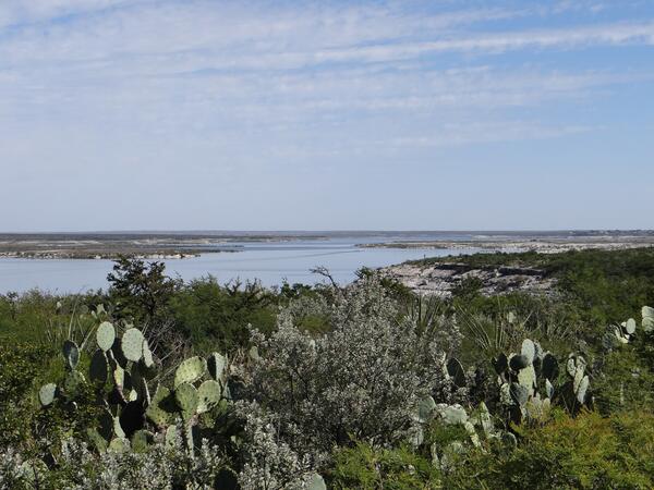 Image: Prickly Pear Cacti at Amistad Reservoir
