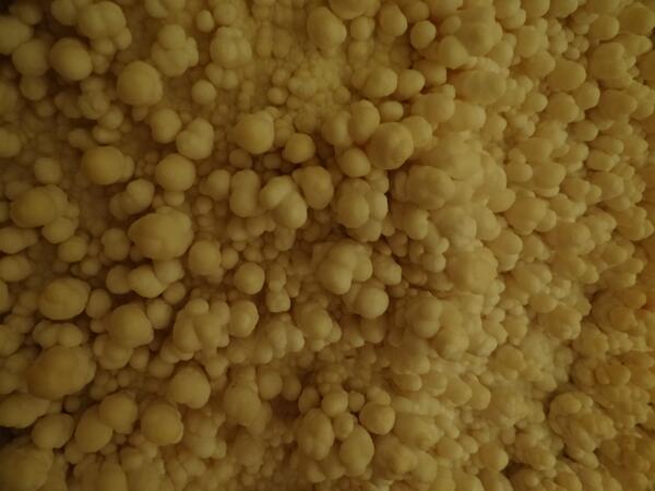 Image: Cave Popcorn Detail