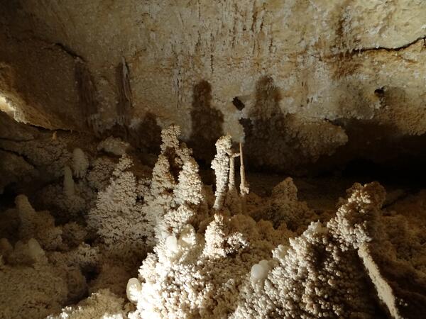 Image: Stalagmites in the Caverns of Sonora