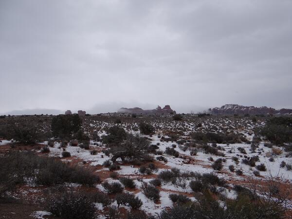 Image: Snowy Landscape