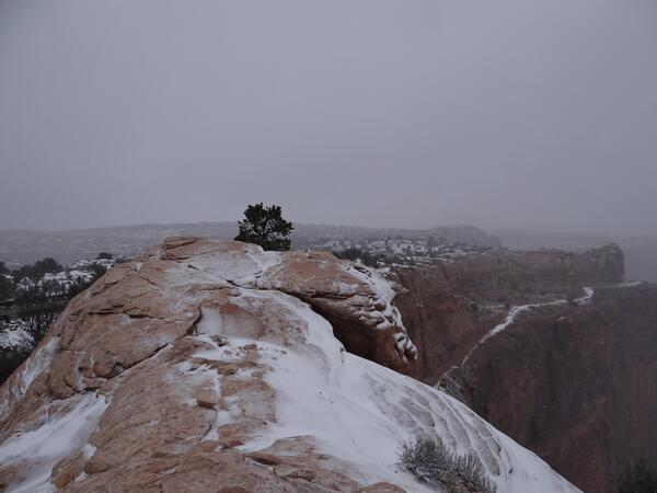 Image: North Rim of Shafer Canyon