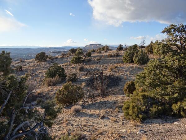 Image: Grand Staircase-Escalante