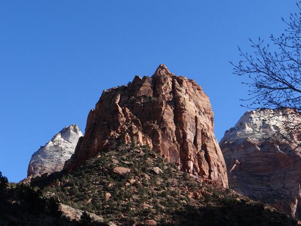 Image: Zion National Park